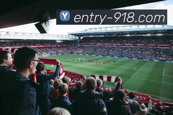 App Interface Preview